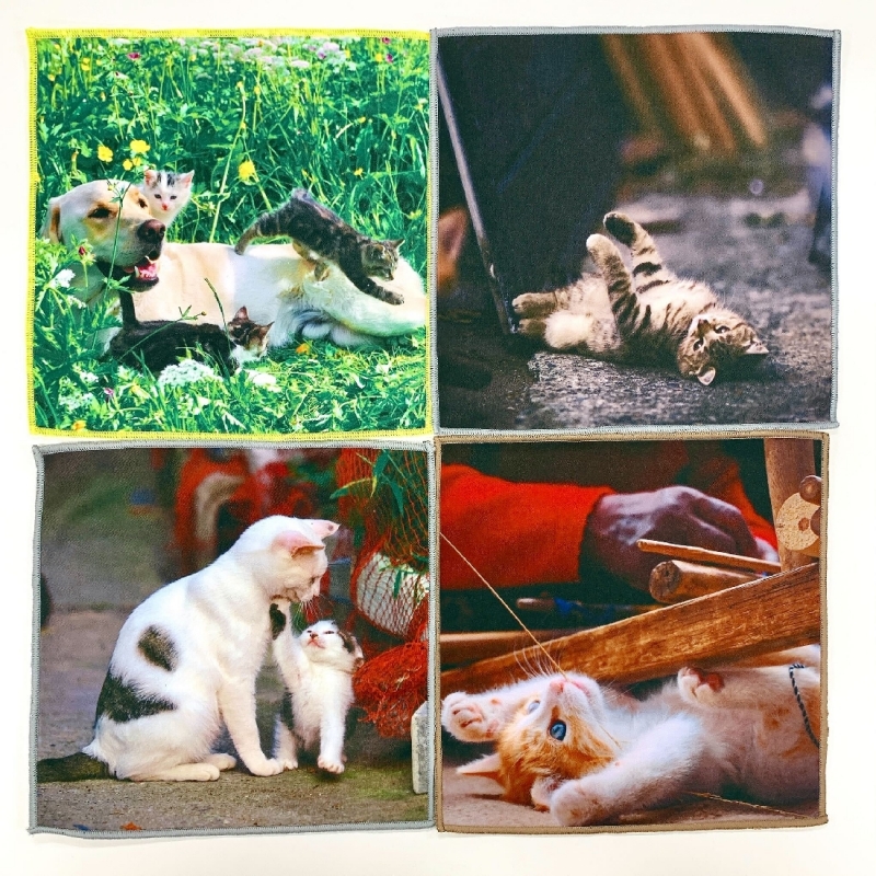 訳あり商品 昭和レトロ のれん アニマル 動物 のます 犬 猫 ファンシー のれん